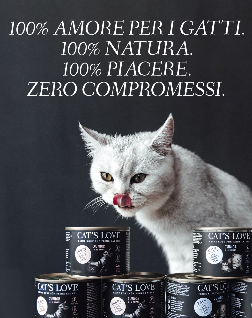 Striscione con un gatto che si lecca la bocca e i prodotti CAT'S LOVE davanti a lui. Il testo del banner recita: 100% CAT'S LOVE. 100% NATURA. 10% DIVERTIMENTO. Nessun compromesso.