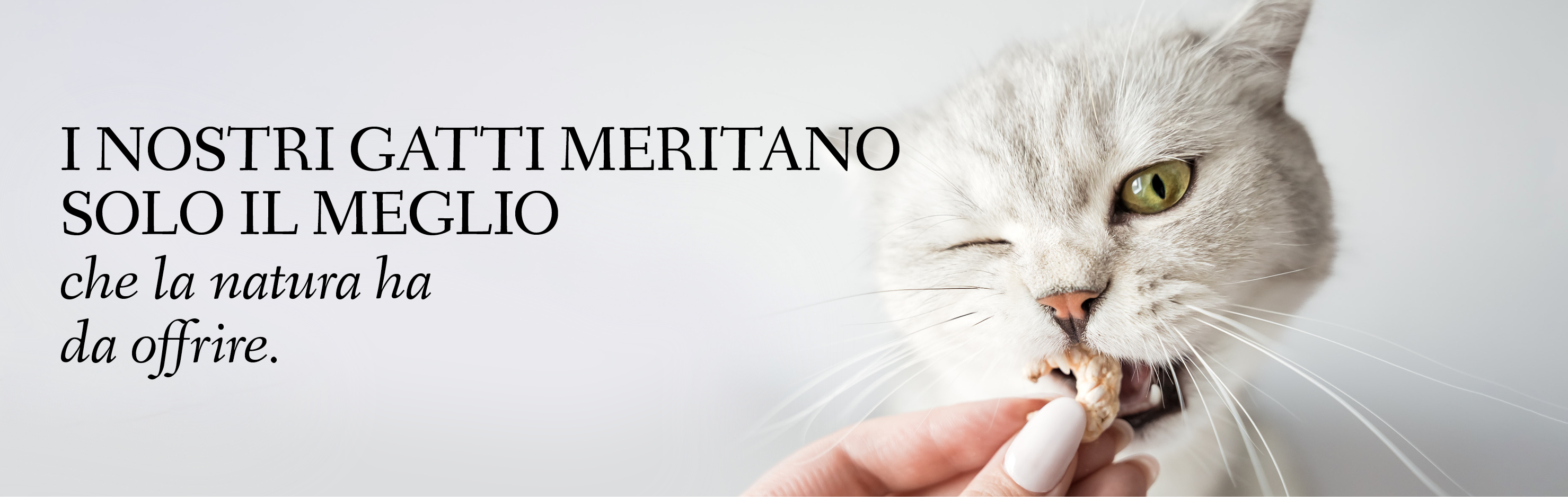 Banner con un gatto che sgranocchia un gamberetto con il testo: I nostri gatti meritano solo il meglio che la natura ha da offrire.