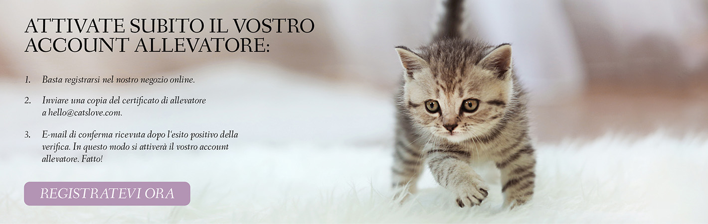 Banner che mostra un gattino che cammina su un tappeto con informazioni sulla registrazione e la possibilità di cliccare su un pulsante per creare un account cliente.