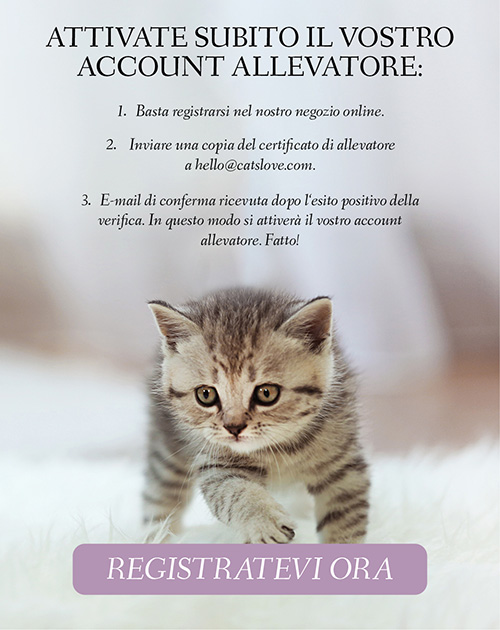 Banner che mostra un gattino che cammina su un tappeto con informazioni sulla registrazione e la possibilità di cliccare su un pulsante per creare un account cliente.