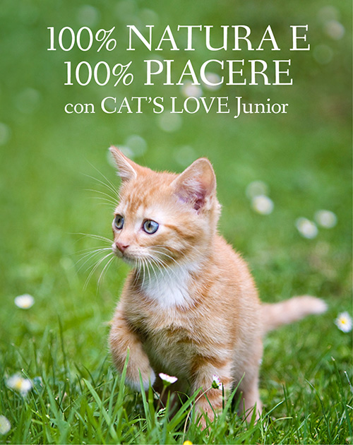 Striscione raffigurante un gattino che corre in un prato coperto di margherite con la scritta: 100% Natura & 100% Piacere con CAT'S LOVE Junior